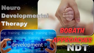 Neurodevelopmental Treatment NDT  Bobath Approach [upl. by Ninon881]