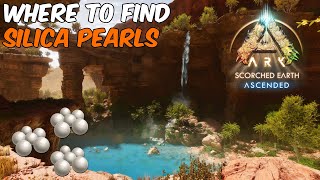 Where To Find SILICA PEARLS on Scorched Earth in ARK Survival Ascended arksurvivalascended ark [upl. by Skillern]