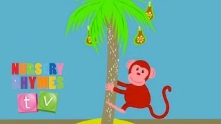 MONKEY  Original Song  Nursery Rhymes TV  English Songs For Kids [upl. by Benedicto]