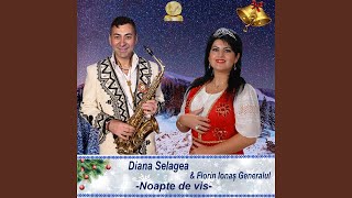 Noapte De Vis feat Diana Selagea Colinda [upl. by Anneliese]