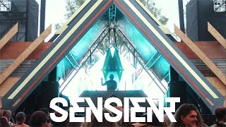 Sensient Zenon Records • Live at Earth Frequency Festival 2023 • Australia [upl. by Iznil]