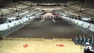 Lipizzaners Christmas Quadrille [upl. by Ramu]