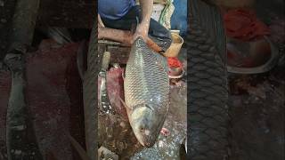 Fish Cutting Skills  Outstanding Giant Rohu Fish Skinning Skills Live  shorts fish fishing [upl. by Akenahs]