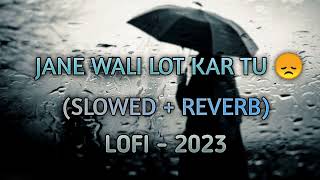 jane wale laut kar tu aaya kyon nahi slowed reverb  B Paark Payal Dev  Lofi Remix [upl. by Ibob163]