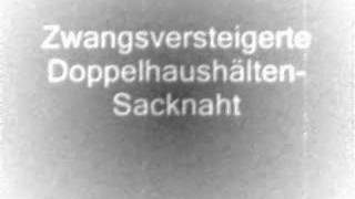 Zwangsversteigerte Doppelhaushälften  Leck mir die sacknaht [upl. by Snider782]