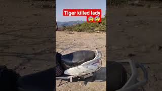 Tiger killed lady😰😰jimcorbettnationalpark shorts minivlog QuickFlicks0001 [upl. by Astrea]