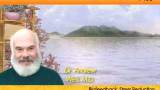 Andrew Weil Guided Meditation [upl. by Erdne163]