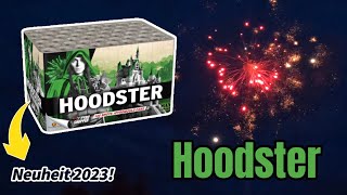 4K Lesli Hoodster Feuerwerksbatterie  NEUHEIT 2023 [upl. by Rubinstein]