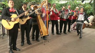 Kapelle Oberalp amp Los Mariachis  La Adelita [upl. by Adnilreh577]