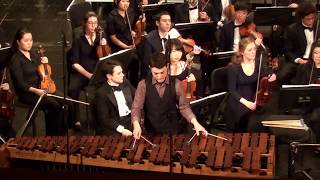 Sejourne Concerto for Marimba and String Orchestra [upl. by Atekram869]