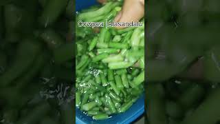 Cowpea curry Alasandala recipe 😀shorts viral trending 🎉 [upl. by Maxy]