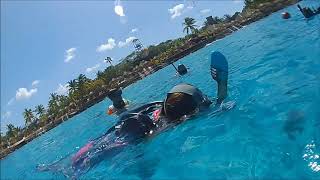 CHANKANAAB NATIONAL PARK SNORKELING EXCURSION COZUMEL MEXICO [upl. by Yenolem]