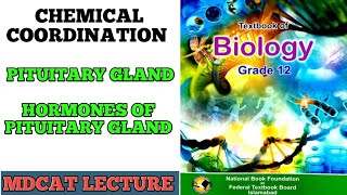 PITUITARY GLAND  CLASS 12 BIOLOGY  HORMONES OF PITUITARY GLAND  MDCAT LECTURE  DOCTORS STOP [upl. by Amesari49]