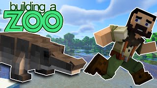 Crocodile Hunting  Lets Build A Zoo Together  EP12 Minecraft Mod [upl. by Drooff]