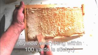 Three Simple Ways To Process Honey [upl. by Woodsum]