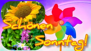 Hallo🤗 Ich wünsche Dir einen wunderschönen und erholsamen Sonntag🌹☀️ Sonnige Sonntagsgrüße für Dich💟 [upl. by Idnic]