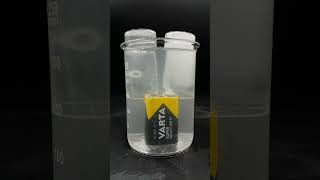 Easy water elettrolysis chemistry lab experiment [upl. by Anaic191]