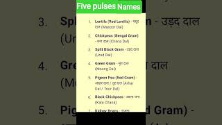 Daily use English Five pulses names Educational video [upl. by Aes]