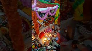 Tulsi Vivah 🙏terendingreel viral tulsivivah ekadashi radhakrishna dreamgirl 🧚 [upl. by Israeli]