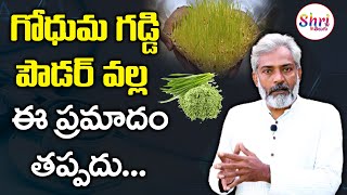 Wheatgrass Juice  Wheatgrass Powder  Health Benefits of Wheatgrass  Shritv Telugu [upl. by Ennair]