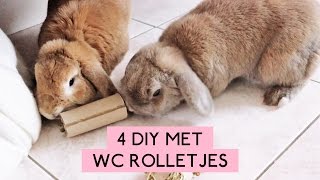 4 DIY met wc rolletjes  De konijnenknuffelaar [upl. by Eikcuhc748]