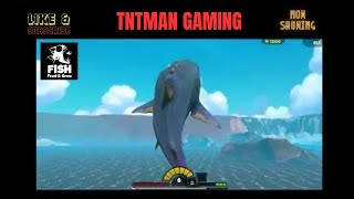 Fish Feed amp Grow Fish Gameplay Megalodon [upl. by Wendall112]