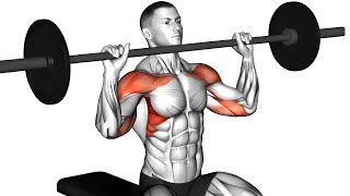 Shoulder Day 5 Best Workouts for Maximum Muscle Growth [upl. by Attennot]