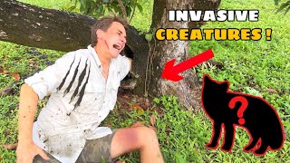 INVASIVE CREATURES TAKE OVER MY PROPERTY [upl. by Lyall]