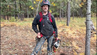 Climbing with Antique STIHL 020T and Weaver Harness [upl. by Eelidnarb617]