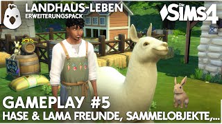 Landhaus Leben 💚 GAMEPLAY 5 mit Tierfreundschaften System und Sammelobjekten deutsch [upl. by Yerd969]