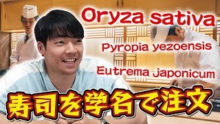 【学名寿司】大将！トラシュルス・ジャポニカスひとつ！クイズ王が生物学の正式名称で注文してみる [upl. by Schroeder]