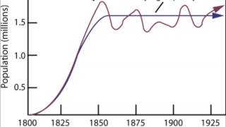 Population Dynamics Carrying Capacity and Limiting Factors [upl. by Samala]