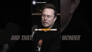 Elon Musk AI Could Discover Consciousness 🧠 elonmusk donaldtrump [upl. by Bathesda606]