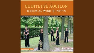 Wind Quintet in D Major Op 95 II Andante sostenuto [upl. by Hamner]