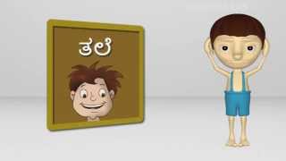 Sareerada avayavagalu  Body parts in kannada  Learn kannada  by tooniarks [upl. by Neve]