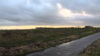 Ackerdijkse Plassen natuurgebied in Oude Leede Pijnacker [upl. by Arriec710]