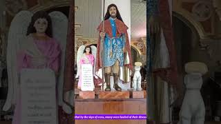 Prayer to San Roque  St Roch ilovejesuschrist godisgood lifelessons ofw [upl. by Alysa181]