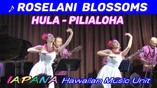 Roselani Blossoms Hula Pilialoha 演奏 IAPANA バードランド 2023  11 [upl. by Chen]