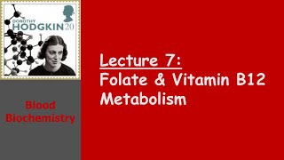 Blood Biochemistry  Folate and Vitamin B12 Metabolism [upl. by Legra]