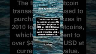 Did You Know Facts  Cryptocurrency and Blockchain [upl. by Winer]