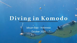 Diving in Komodo in Indonesia  October 2024 [upl. by Lennahc929]