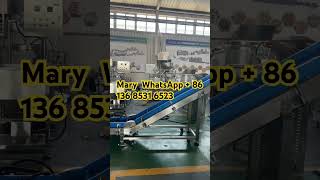 Snacks food extrusion bugle snacks machine lab type extruder machine flavoring seasoning machinery [upl. by Hachmin]