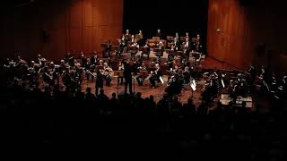 Sibelius Violinkonzert dmoll op 47 3 Satz [upl. by Tymothy]