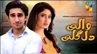 Dil Wali Gali  Hamza sohil  Sajal Ali  Hum tv upcoming drama  M media report [upl. by Nyberg]