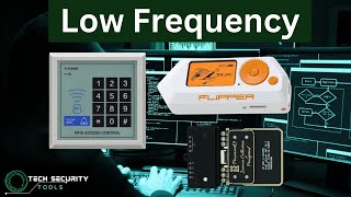 Understanding Low Frequency [upl. by Coltin]