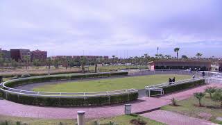 Live Hippodrome « MARRAKECH »  Courses du « 29012024 » [upl. by Renick354]