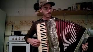 Piemontesina bella  Acordeon Accordion Akordeon [upl. by Walling]