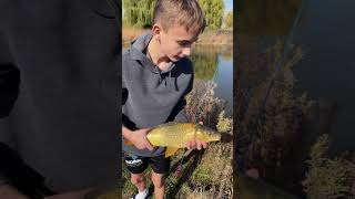 Carp fishing at the pond fish fishing carpfishing carp [upl. by Winser220]