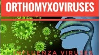 Orthomyxoviruses Influenza causestransmission pathogenesis symptoms diagnosis amp prevention [upl. by Rina726]