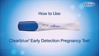 How to use  Early Detection Pregnancy Test from Clearblue [upl. by Wixted]